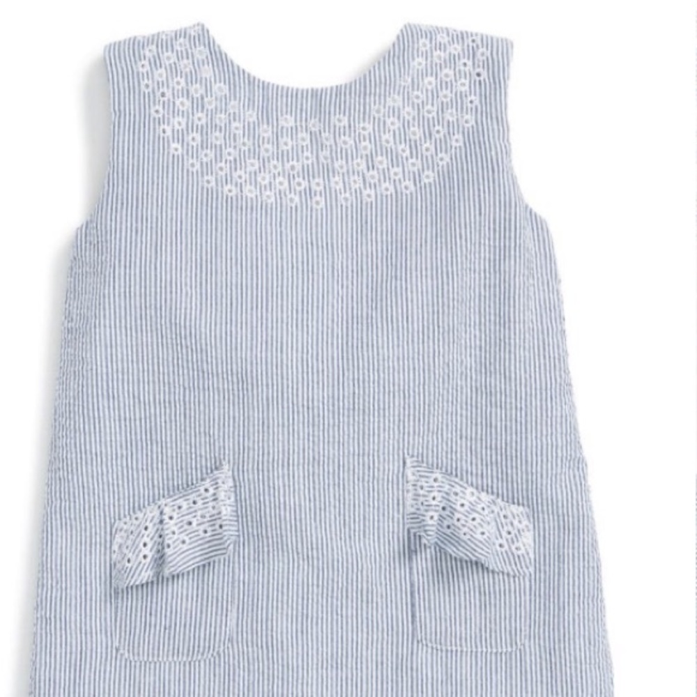 Egg by Susan Lazar Seersucker Blue Shift Dress 4